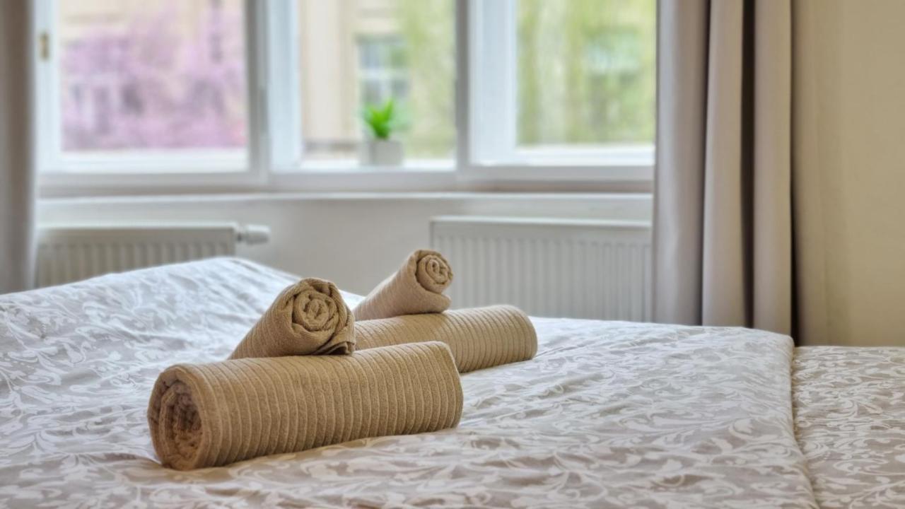 Finnem Rentals Zikova — Photos 1
